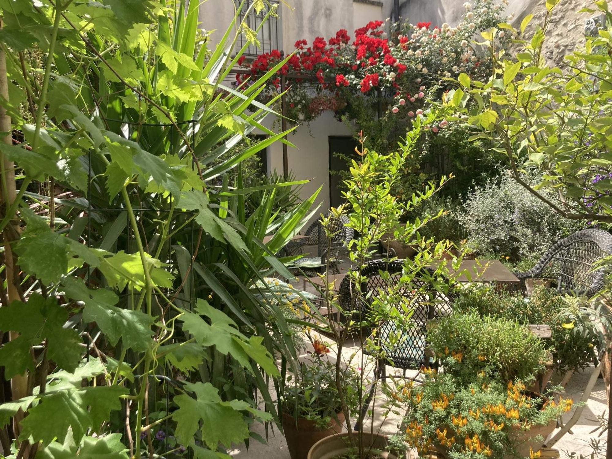 La Maison Des Augustins 4 Stars Spa Et Fitness Avignon Cameră foto