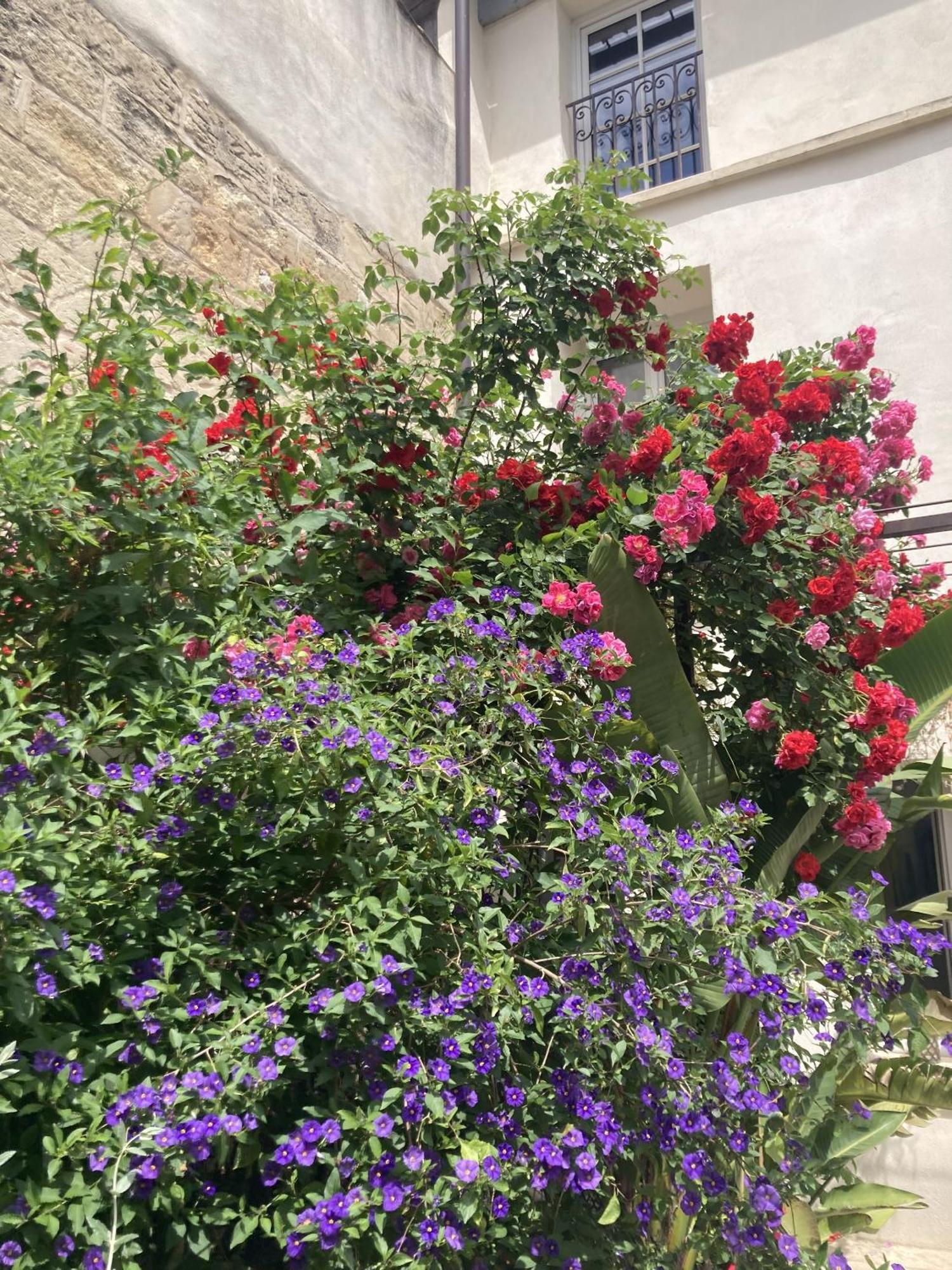 La Maison Des Augustins 4 Stars Spa Et Fitness Avignon Cameră foto
