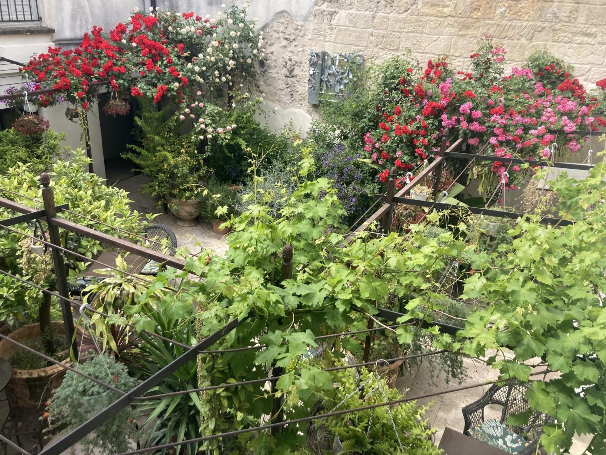 La Maison Des Augustins 4 Stars Spa Et Fitness Avignon Cameră foto